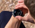 Die EKG-Funktion der Garmin-Wearables kommt offiziell in zwei weitere Länder (Symbolbild, Bildquelle: Garmin)