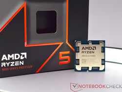 Der AMD Ryzen 5 9600X im Test: zur Verfügung gestellt von AMD Deutschland