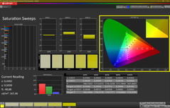 CalMAN - Farbsättigung (kalibriert)