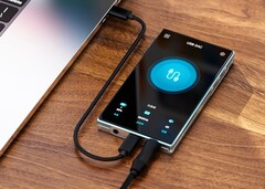 Der FiiO FM21 bietet 700 mW Leistung und DSD-Support zum günstigen Preis. (Bildquelle: FiiO)