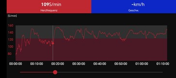 Herzfrequenzmessung mit dem Polar H10-Brustgurt