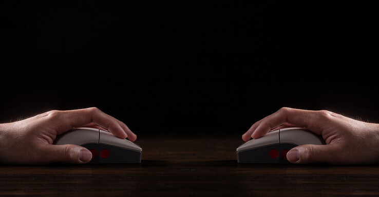 Nutzbar ist die Haus mit der linken und rechten Hand ohne Einschränkung (Bildquelle: 8BitDo)