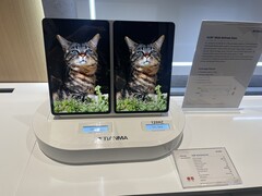 Zwei Displays mit unterschiedlicher Refresh Rate (Foto: Andreas Sebayang/Notebookcheck.com). 