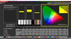 CalMAN ColorChecker (Profil: sRGB, Zielfarbraum: sRGB)