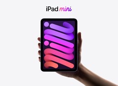 iPadOS 15.5 sorgt bei einigen Nutzern des iPad mini für Probleme beim Aufladen. (Bild: Apple)