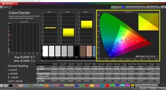 CalMAN ColorChecker kalibriert (Profil: sRGB, Zielfarbraum: sRGB)
