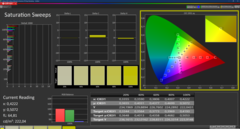 Saturation (kalibriert)