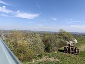 OnePlus 13 – 1-facher Zoom (Hauptkamera)