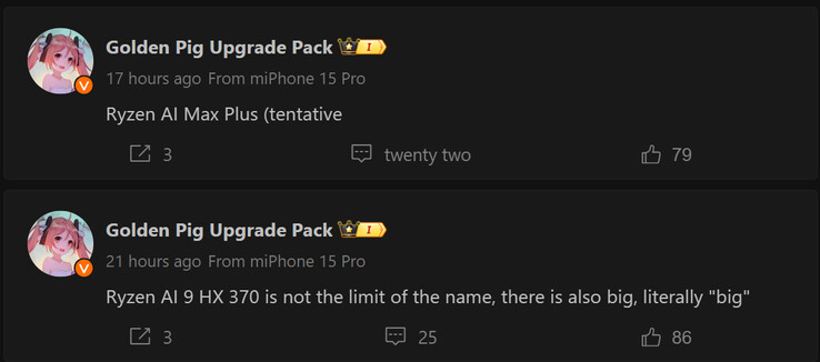Der Bericht von Golden Pig Upgrade über die neuen AMD Ryzen AI 300 APUs. (Bildquelle: Weibo - maschinell übersetzt)