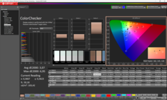 Calman ColorChecker auslieferungszustand