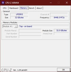 CPU-Z Memory