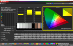 CalMAN ColorChecker (sRGB)