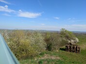 Sony Xperia 1 VI – 1-facher Zoom (Hauptkamera)