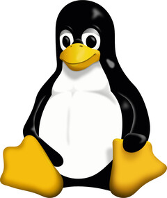 Der Linux Kernel 6.11 ist als Release Candidate verfügbar und unterstützt neue Hardware. (Bildquelle: Wikimedia Commons)