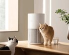 Eine neuer Luftfilter soll insbesondere Besitzer von Haustieren ansprechen (Bildquelle: Xiaomi)
