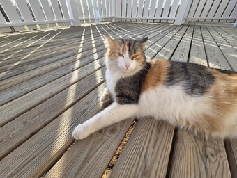 Aufnahme mit der Ultraweitwinkelkamera