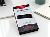 Kingston Fury Renegade G5 4 TB NVMe SSD – Schnellster Speicher dank PCIe 5.0 x4 für Gamer & Kreative
