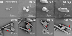 Plastikfragmente im Wasser (Bildquelle: Environmental Science &amp; Technology Letters via ScienceAlert)