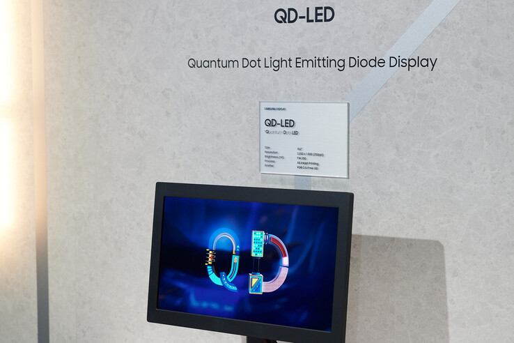 Samsungs QD-LED-Display auf der Display Week 2024. (Foto: Andreas Sebayang/Notebookcheck.com)
